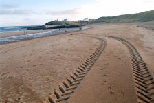 sluice tracks small.jpg