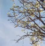 001904600011.jpg 001904600011.jpg