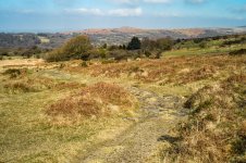 Erosion-1025117 Upload.JPG