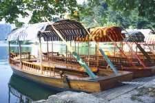 Gondoliers Lake Bled Scan.jpg Gondoliers Lake Bled Scan.jpg