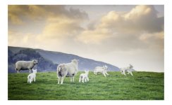 2012-4-14, Canon EOS300, Portra 160, Borrowdale 1-Edit.jpg 2012-4-14, Canon EOS300, Portra 160, Borrowdale 1-Edit.jpg