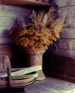 2013-8-3, RHS Harlow Carr, RZ67, Portra 400, Digibase, 1.jpg 2013-8-3, RHS Harlow Carr, RZ67, Portra 400, Digibase, 1.jpg