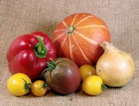 2013-10, RZ67, Studio, Portra 160, Digibase, 2.jpg 2013-10, RZ67, Studio, Portra 160, Digibase, 2.jpg