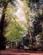 2018.10-RB67-Portra160-02.jpg 2018.10-RB67-Portra160-02.jpg