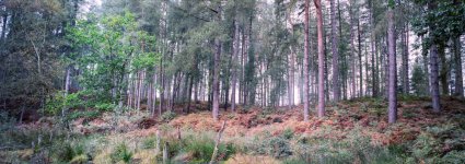 2019-10-05-Portra160-Tomiyama-04.jpg 2019-10-05-Portra160-Tomiyama-04.jpg