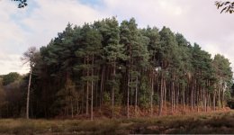 Untitled_Panorama1.jpg Untitled_Panorama1.jpg