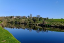 54438938235_1165684d75_k.jpg 54438938235_1165684d75_k.jpg