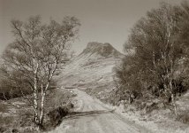 2025-04-08-0008-copy.jpg-tp.jpg 2025-04-08-0008-copy.jpg-tp.jpg