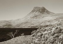 2025-04-08-0010-copy.jpg-tp.jpg 2025-04-08-0010-copy.jpg-tp.jpg