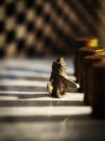 Week 14 - Shadows 2.JPG