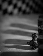 Week 14 - Shadows 4.JPG