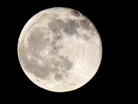 Full Moon FZ82 P1010181.JPG