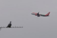 DSCF5871.jpeg DSCF5871.jpeg