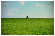 IMG_1782.jpeg IMG_1782.jpeg