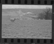 IMG_0250.jpeg IMG_0250.jpeg