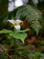 Apr 10-25 (1 of 1)-27.JPG