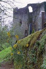 Contax RTS 4th Film St Germain Cemetery Wall.jpg Contax RTS 4th Film St Germain Cemetery Wall.jpg