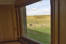 _7812787.jpg _7812787.jpg