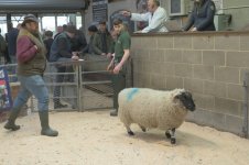 _7818188.jpg _7818188.jpg