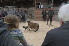 _7813098.jpg _7813098.jpg