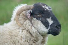 _7818244.jpg _7818244.jpg