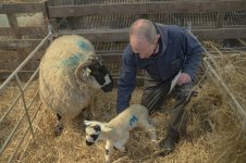 _7818315.jpg _7818315.jpg