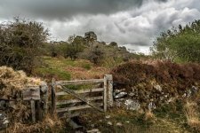 008 Vixen Tor 06-9693 PS Adj Upload.JPG 008 Vixen Tor 06-9693 PS Adj Upload.JPG