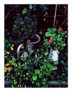 1745327497944.jpeg 1745327497944.jpeg