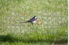 Screenshot 2025-04-22 182121.jpg Screenshot 2025-04-22 182121.jpg