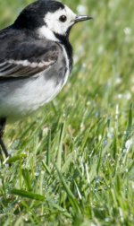 Untitled-1.jpg Untitled-1.jpg