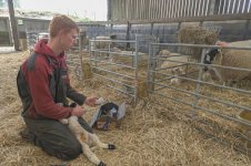 _7813136.jpg _7813136.jpg