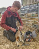 _7813173-2.jpg _7813173-2.jpg