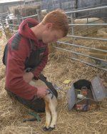 _7813180.jpg _7813180.jpg