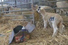 _7813187.jpg _7813187.jpg