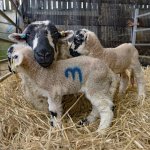 _7813210.jpg _7813210.jpg