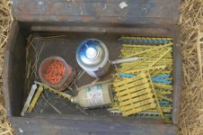 _7813215.jpg _7813215.jpg