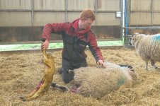 _7813221.jpg _7813221.jpg