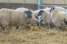 _7813224.jpg _7813224.jpg