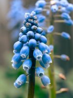 Week 16 - After the Rain 2.JPG