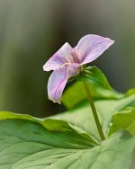 Week 16 - After the Rain 5.JPG