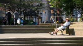 Week 17 - Stairs 5.JPG Week 17 - Stairs 5.JPG