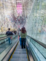 Week 17 - Stairs 6.JPG Week 17 - Stairs 6.JPG