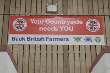 _7813334.jpg _7813334.jpg