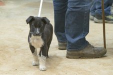 _7813368.jpg _7813368.jpg