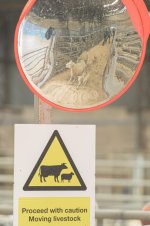 _7813397.jpg _7813397.jpg