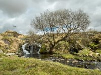 012 Black Tor Falls 02-1002093 PS Adj Upload.JPG 012 Black Tor Falls 02-1002093 PS Adj Upload.JPG