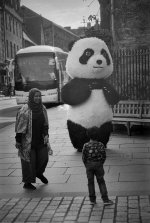 2308CPLXBW19 Panda.jpg