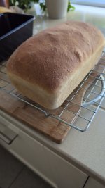 1000025101.jpg 1000025101.jpg