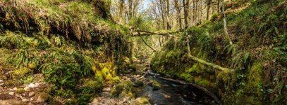 012 Venford Brook 04-1377 PS Adj Upload.JPG 012 Venford Brook 04-1377 PS Adj Upload.JPG