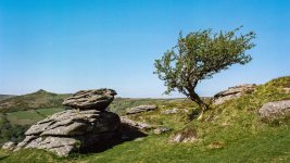 028A Bench Tor 06-000150250011 PS Adj Upload.JPG 028A Bench Tor 06-000150250011 PS Adj Upload.JPG